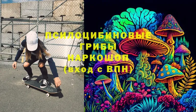 omg ссылка  Нефтекумск  Галлюциногенные грибы Magic Shrooms 